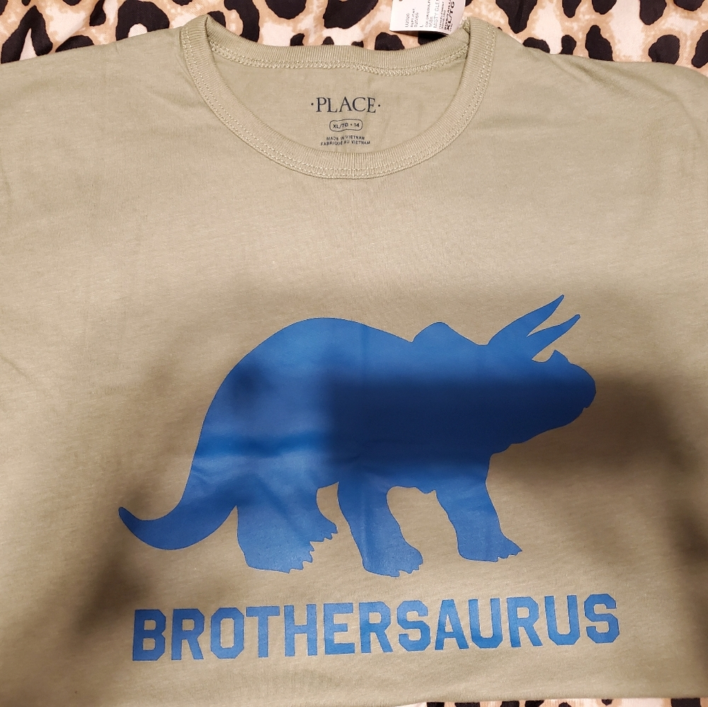 Boy's Brothersaurus tee